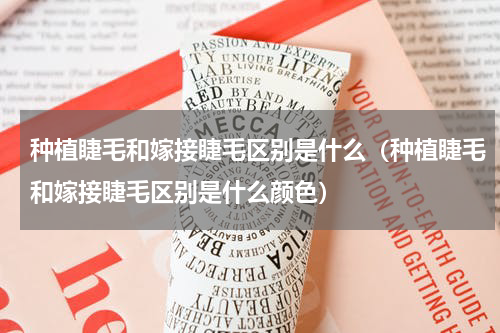 种植睫毛和嫁接睫毛区别是什么（种植睫毛和嫁接睫毛区别是什么颜色）