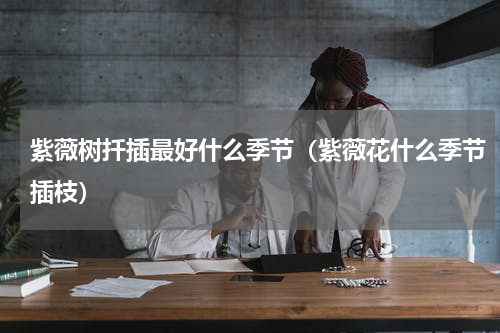 紫薇树扦插最好什么季节（紫薇花什么季节插枝）