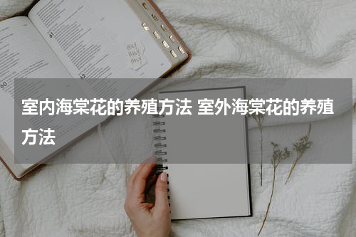 室内海棠花的养殖方法 室外海棠花的养殖方法