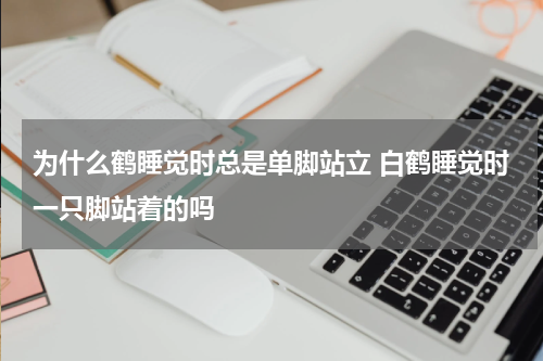 为什么鹤睡觉时总是单脚站立 白鹤睡觉时一只脚站着的吗