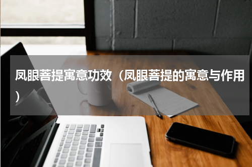 凤眼菩提寓意功效（凤眼菩提的寓意与作用）