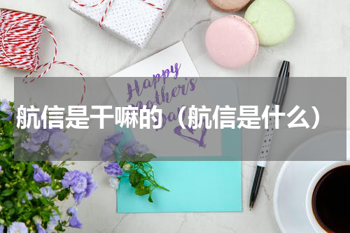 航信是干嘛的（航信是什么）