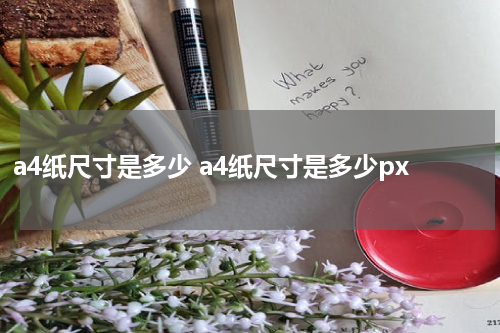 a4纸尺寸是多少 a4纸尺寸是多少px