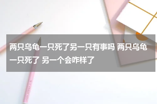 两只乌龟一只死了另一只有事吗 两只乌龟一只死了 另一个会咋样了