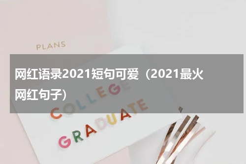 网红语录2021短句可爱（2021最火网红句子）