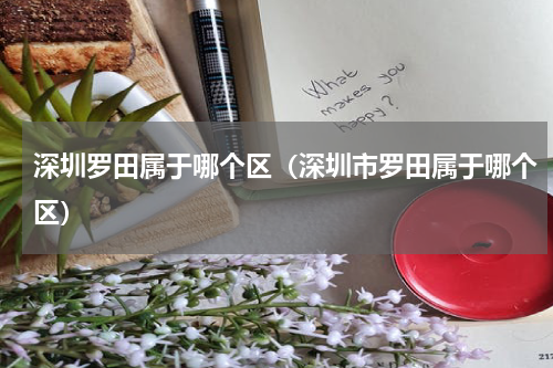 深圳罗田属于哪个区（深圳市罗田属于哪个区）