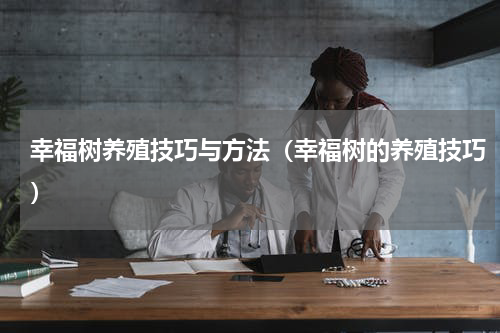 幸福树养殖技巧与方法（幸福树的养殖技巧）