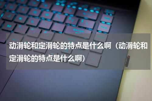 动滑轮和定滑轮的特点是什么啊（动滑轮和定滑轮的特点是什么啊）