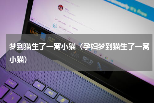 梦到猫生了一窝小猫（孕妇梦到猫生了一窝小猫）