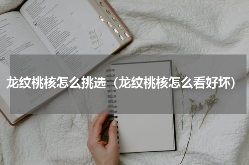 龙纹桃核怎么挑选（龙纹桃核怎么看好坏）