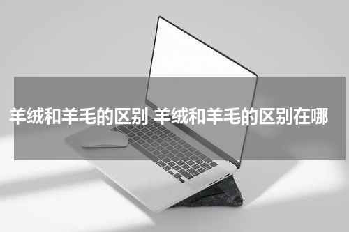 羊绒和羊毛的区别 羊绒和羊毛的区别在哪