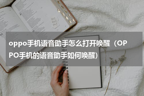 oppo手机语音助手怎么打开唤醒（OPPO手机的语音助手如何唤醒）