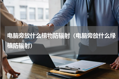 电脑旁放什么植物防辐射（电脑旁放什么绿植防辐射）