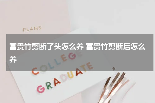 富贵竹剪断了头怎么养 富贵竹剪断后怎么养