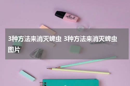 3种方法来消灭蜱虫 3种方法来消灭蜱虫图片