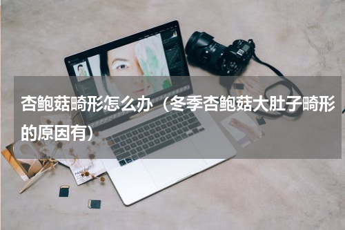 杏鲍菇畸形怎么办（冬季杏鲍菇大肚子畸形的原因有）