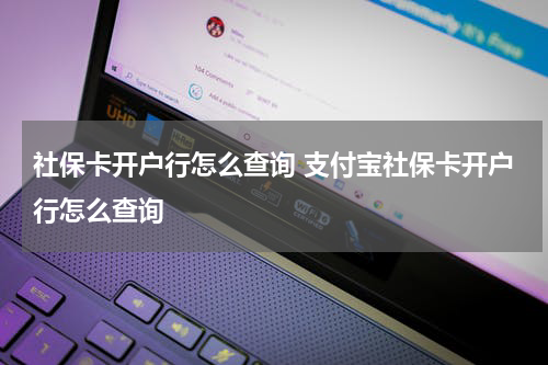 社保卡开户行怎么查询 支付宝社保卡开户行怎么查询