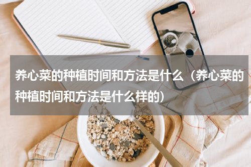 养心菜的种植时间和方法是什么（养心菜的种植时间和方法是什么样的）