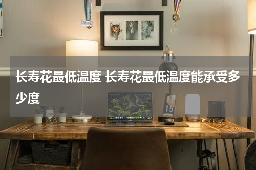 长寿花最低温度 长寿花最低温度能承受多少度
