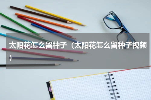 太阳花怎么留种子（太阳花怎么留种子视频）