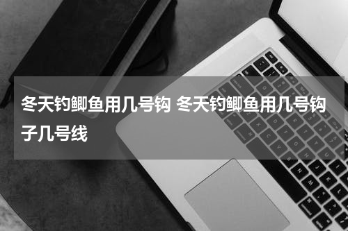 冬天钓鲫鱼用几号钩 冬天钓鲫鱼用几号钩子几号线