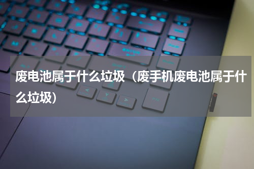 废电池属于什么垃圾（废手机废电池属于什么垃圾）