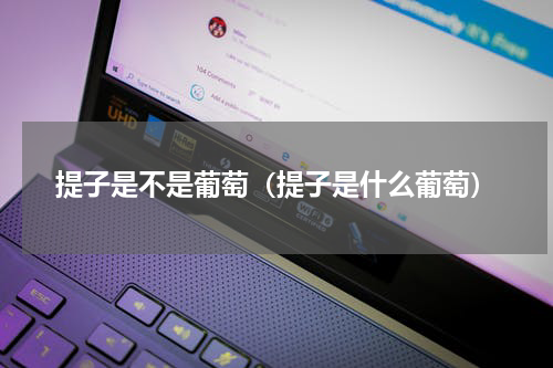 提子是不是葡萄（提子是什么葡萄）