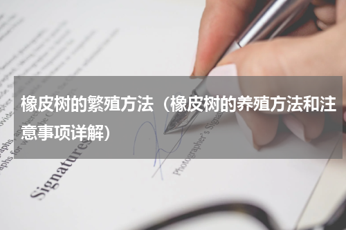 橡皮树的繁殖方法（橡皮树的养殖方法和注意事项详解）