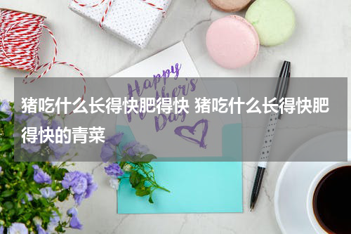 猪吃什么长得快肥得快 猪吃什么长得快肥得快的青菜