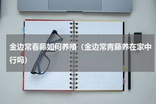 金边常春藤如何养殖（金边常青藤养在家中行吗）