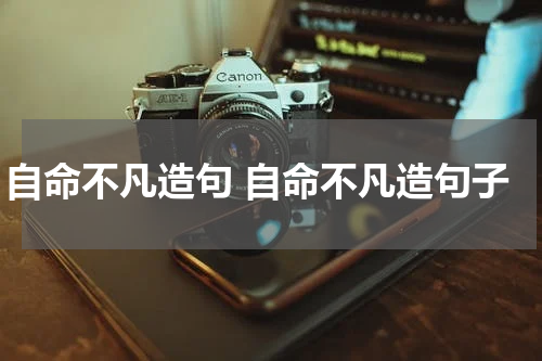 自命不凡造句 自命不凡造句子