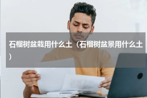 石榴树盆栽用什么土（石榴树盆景用什么土）