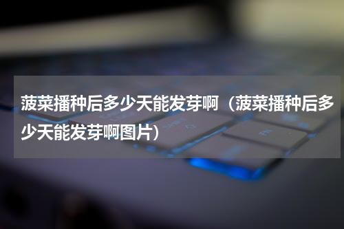 菠菜播种后多少天能发芽啊（菠菜播种后多少天能发芽啊图片）