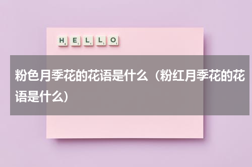 粉色月季花的花语是什么（粉红月季花的花语是什么）