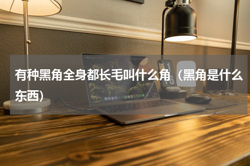有种黑角全身都长毛叫什么角（黑角是什么东西）