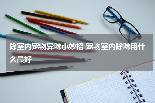 除室内宠物异味小妙招 宠物室内除味用什么最好