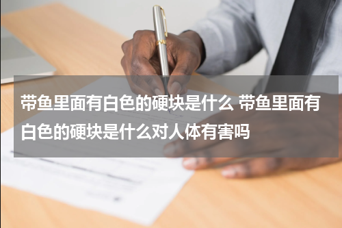 带鱼里面有白色的硬块是什么 带鱼里面有白色的硬块是什么对人体有害吗