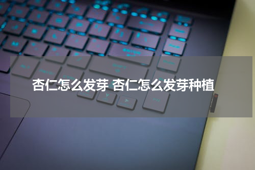 杏仁怎么发芽 杏仁怎么发芽种植