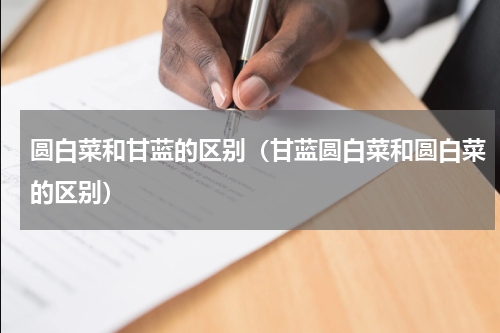 圆白菜和甘蓝的区别（甘蓝圆白菜和圆白菜的区别）