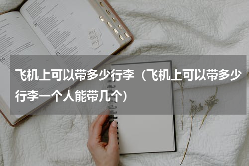 飞机上可以带多少行李（飞机上可以带多少行李一个人能带几个）