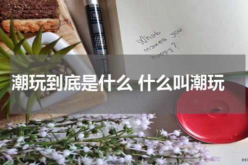 潮玩到底是什么 什么叫潮玩