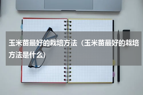 玉米苗最好的栽培方法（玉米苗最好的栽培方法是什么）