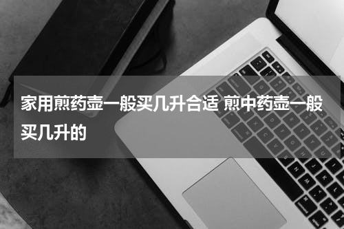 家用煎药壶一般买几升合适 煎中药壶一般买几升的