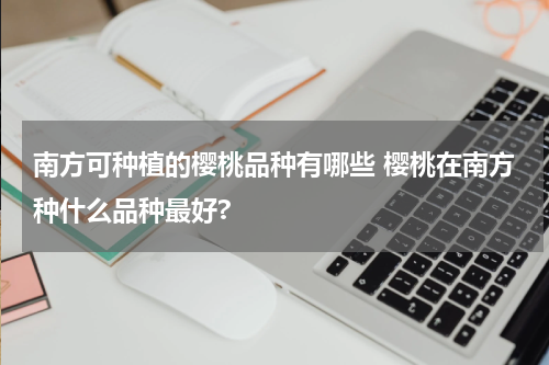 南方可种植的樱桃品种有哪些 樱桃在南方种什么品种最好?