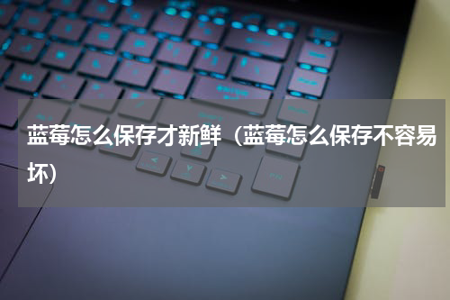 蓝莓怎么保存才新鲜（蓝莓怎么保存不容易坏）