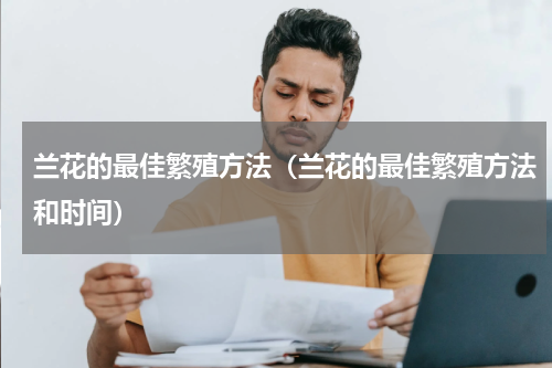 兰花的最佳繁殖方法（兰花的最佳繁殖方法和时间）