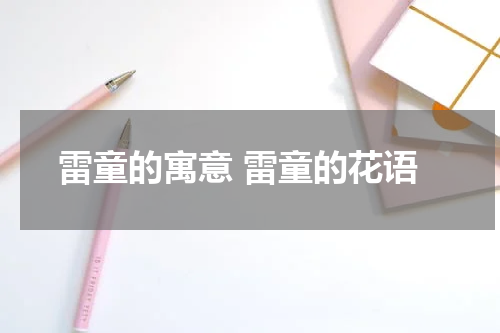 雷童的寓意 雷童的花语