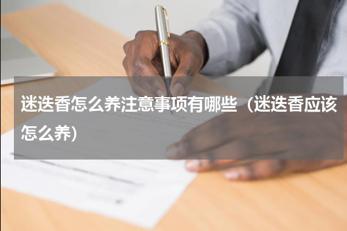 迷迭香怎么养注意事项有哪些（迷迭香应该怎么养）