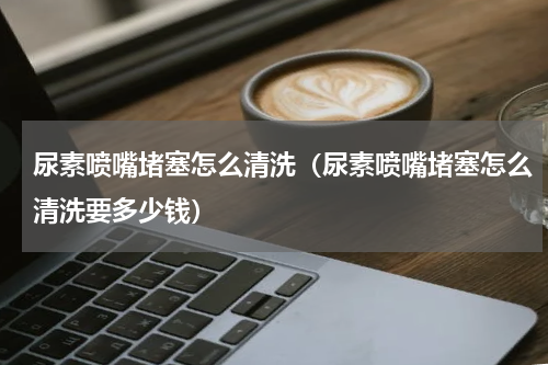 尿素喷嘴堵塞怎么清洗（尿素喷嘴堵塞怎么清洗要多少钱）
