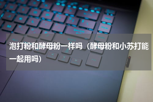 泡打粉和酵母粉一样吗（酵母粉和小苏打能一起用吗）